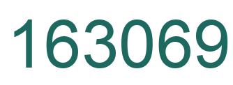 Number 163069 green image