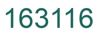 Number 163116 green image