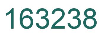 Number 163238 green image