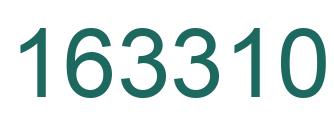 Number 163310 green image