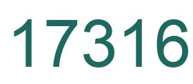 Number 17316 green image