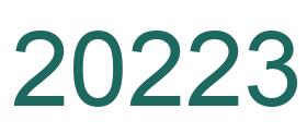 Zahl 20223 grün bild