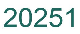 Zahl 20251 grün bild