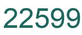 Number 22599 green image