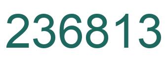 Number 236813 green image