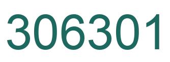 Number 306301 green image