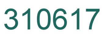 Number 310617 green image