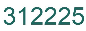 Number 312225 green image
