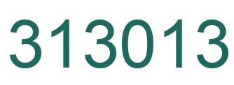Número 313013 imagen verde