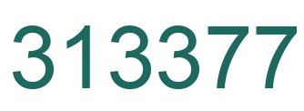 Number 313377 green image