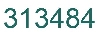 Number 313484 green image
