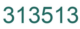 Number 313513 green image