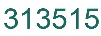 Number 313515 green image