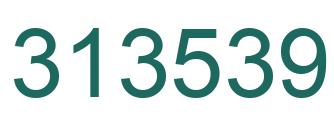 Number 313539 green image