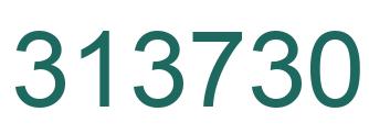 Number 313730 green image