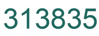 Number 313835 green image