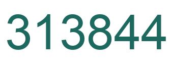 Number 313844 green image