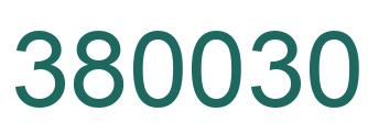 Number 380030 green image