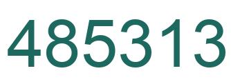 Number 485313 green image