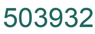 Number 503932 green image