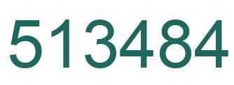 Number 513484 green image