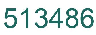 Number 513486 green image