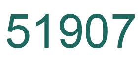 Number 51907 green image