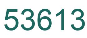 Number 53613 green image
