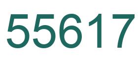Number 55617 green image