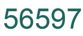 Number 56597 green image