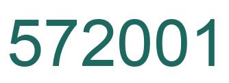 Número 572001 imagen verde