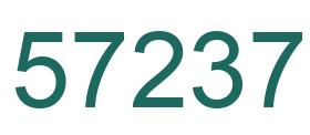 Número 57237 imagen verde