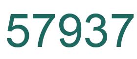 Number 57937 green image