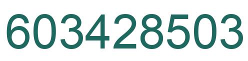 Number 603428503 green image