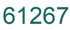 Number 61267 green image
