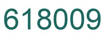 Number 618009 green image