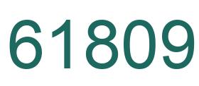 Number 61809 green image