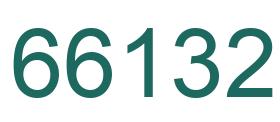 Number 66132 green image