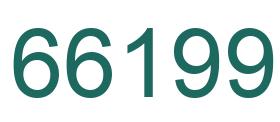 Number 66199 green image