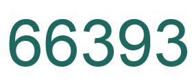 Number 66393 green image