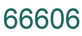 Zahl 66606 grün bild