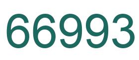 Zahl 66993 grün bild