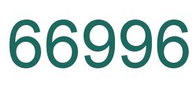 Zahl 66996 grün bild