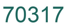 Number 70317 green image