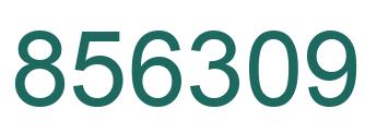Number 856309 green image
