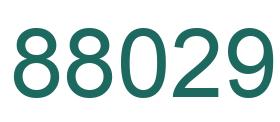 Number 88029 green image