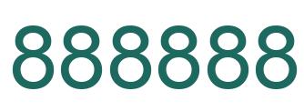 Number 888888 green image