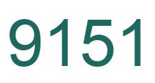 Number 9151 green image