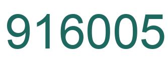 Number 916005 green image