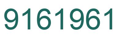 Number 9161961 green image